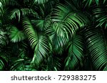 Tropical palm leaves  floral...