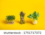 Small photo of Green healthy food on yellow background. Pak Choi, asparagus and fresh sprouts of Water Cress salad. Vegetarian and vegan diet. Veganism. Sustainable lifestyle, good eats, plantbased foods. Copy space