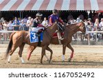 Small photo of Saratoga Springs, NY, USA - August 25, 2018: Whitmore ridden by Ricardo Santana, Jr. in the post parade for the Forego Stakes on Travers day August 25, 2018 Saratoga Springs, NY, USA