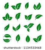 set of green leaf icons | Shutterstock .eps vector #1134533468