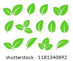 hand drawn abstract mint leaves ... | Shutterstock .eps vector #1181340892