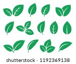 blue mint leaves set icons on... | Shutterstock .eps vector #1192369138
