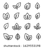 linear set of black leaves... | Shutterstock .eps vector #1629553198