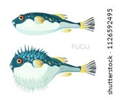 fugu fish japanese puffer fish... | Shutterstock .eps vector #1126592495