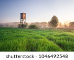 foggy meadow landscape with raised hide at sunrise