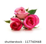 Three Pink Roses Isolated On...