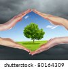 stock-photo-human-hands-protecting-tree-from-darkness-and-pollution-80164309.jpg