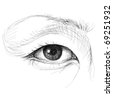 Set Pencil Drawing Eyes And Auto-Traced. Realistic Sketch. Stock Vector ...